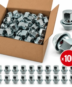 Trade Pack x 100 wheel nuts