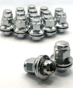 Wheel Nuts